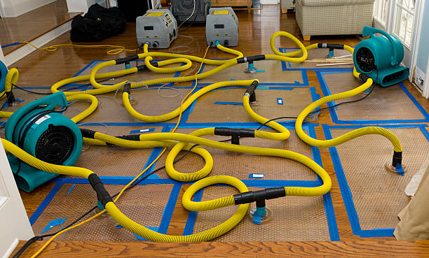 Professional Storm Water Damage Restoration technician working in Upland, PA